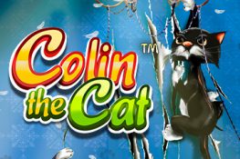 Colin the Cat