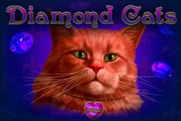 Diamond Cats